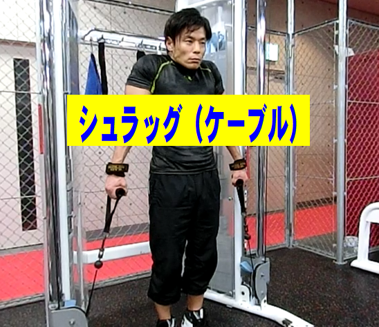 シュラッグ(ケーブル)