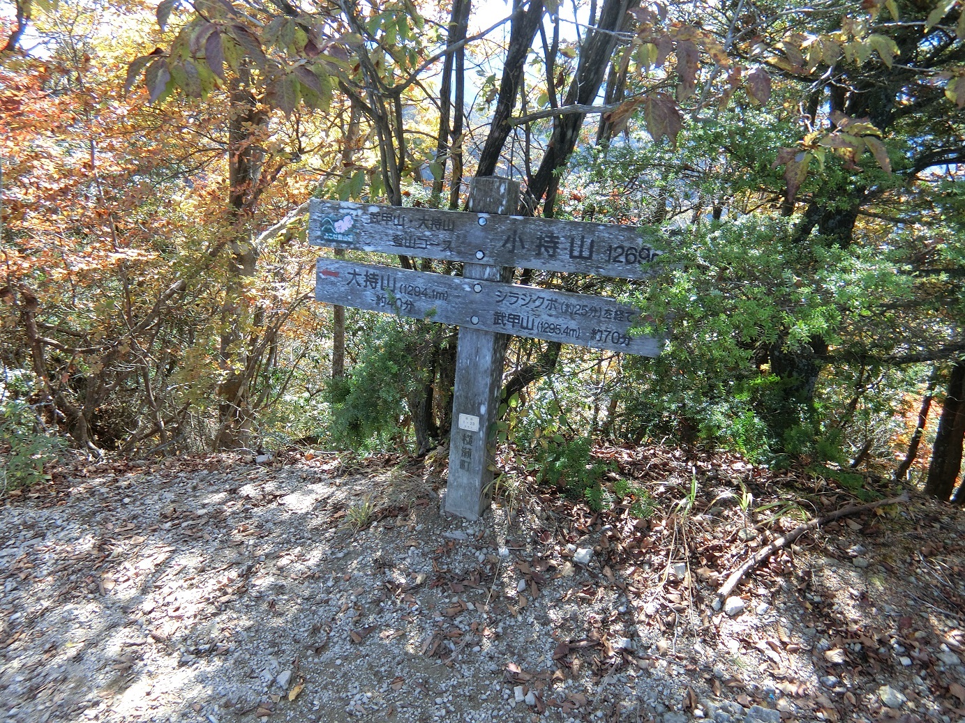 CIMG3563小持山に到着
