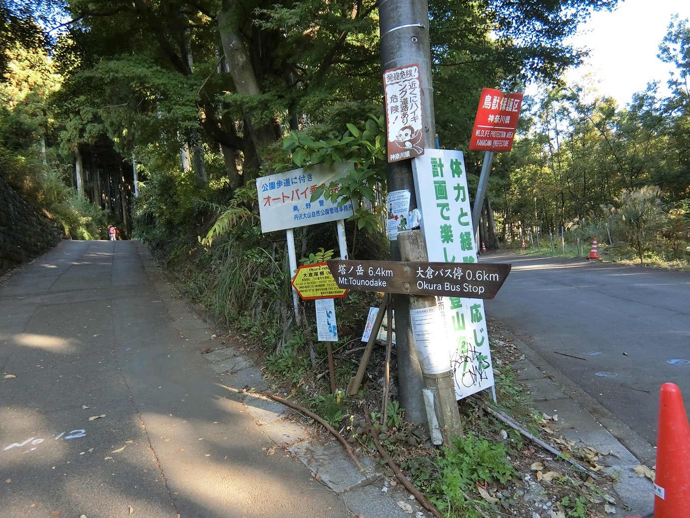 CIMG3636ここからが登山道