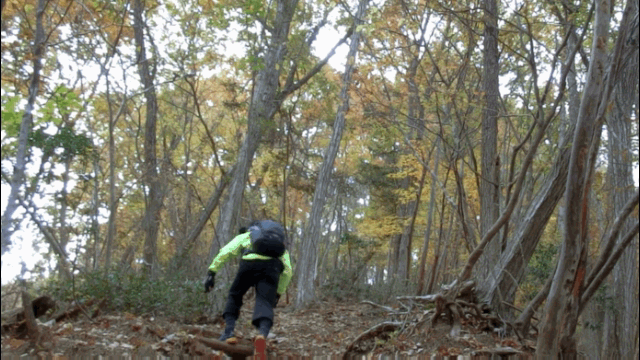 CIMG3774いよいよ登山道GIF画像