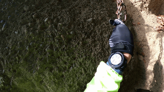 CIMG3788GIF画像2ようやく