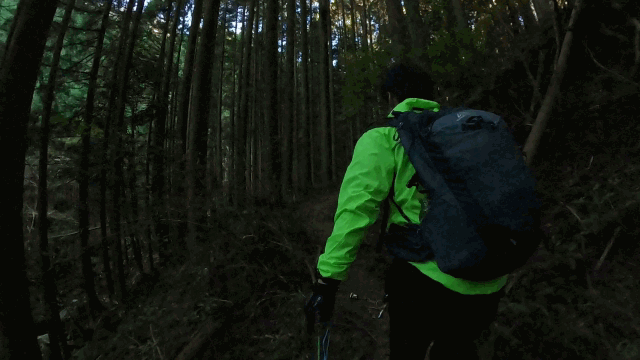 CIMG3862山道に入るGIF画像