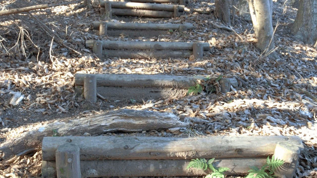 CIMG3866川越山までの階段GIF画像