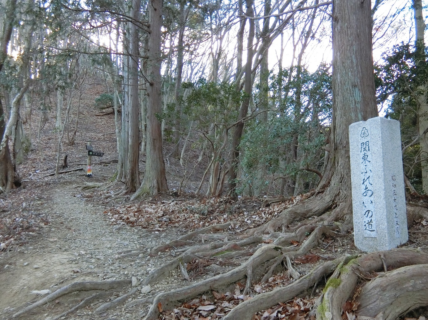 CIMG3874関東ふれあいの道