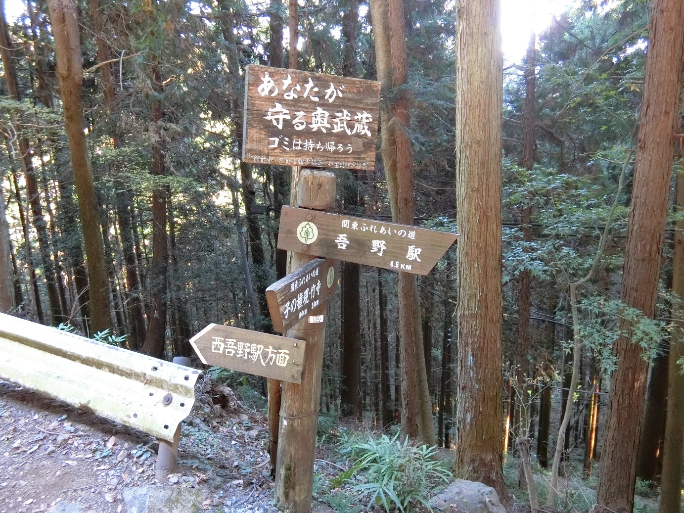 CIMG3930西吾野方面へ