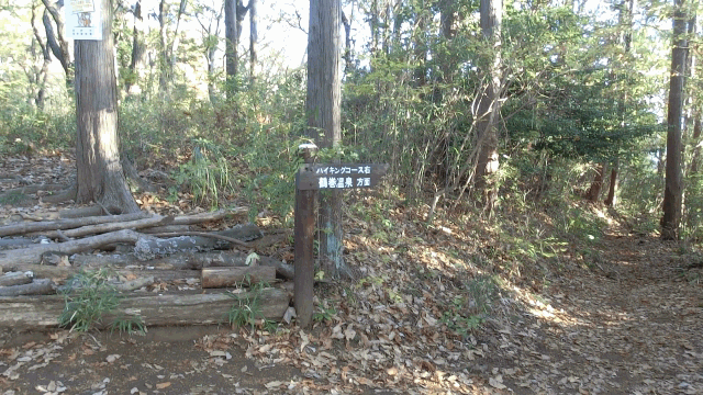 CIMG3947善波峠GIF画像