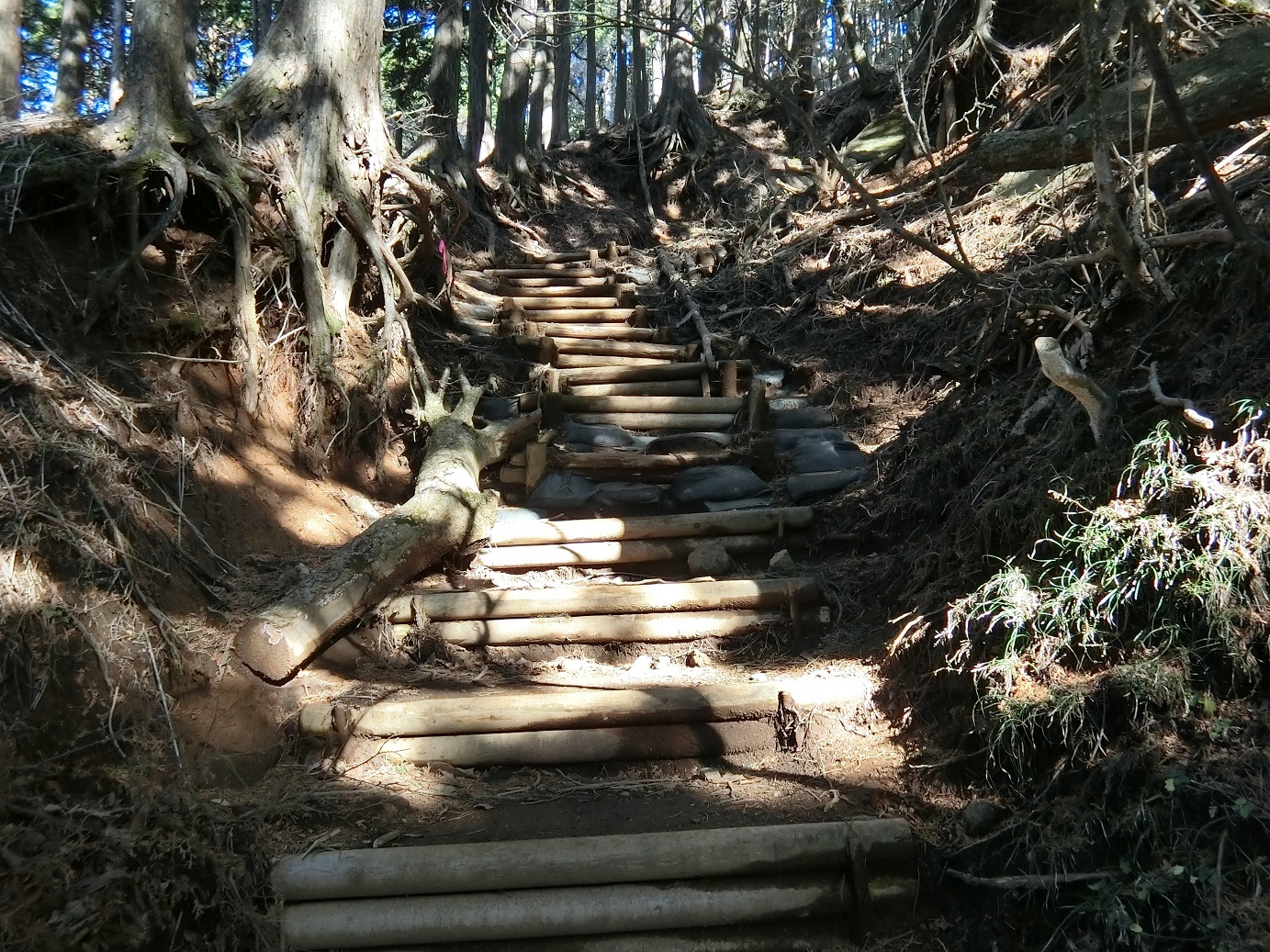 CIMG3958階段が続く