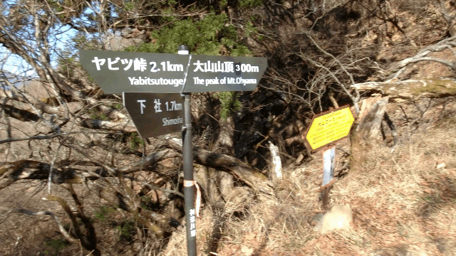 CIMG3961大山まで300mGIF画像