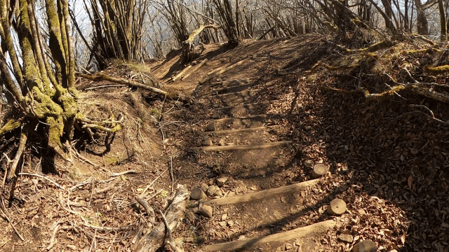 CIMG3972左右にうねる道GIF画像