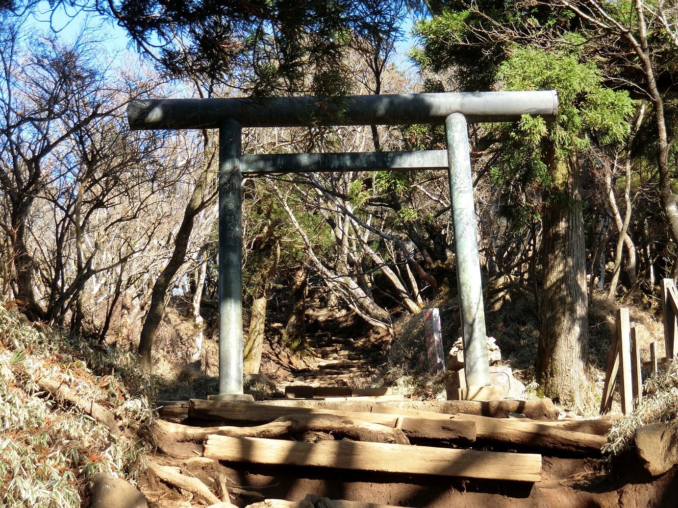 CIMG3962鳥居をくぐる