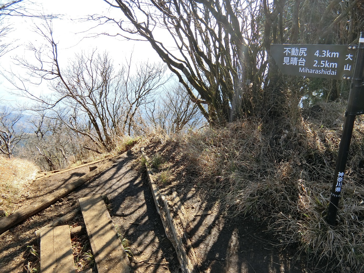 CIMG3969見晴台方面