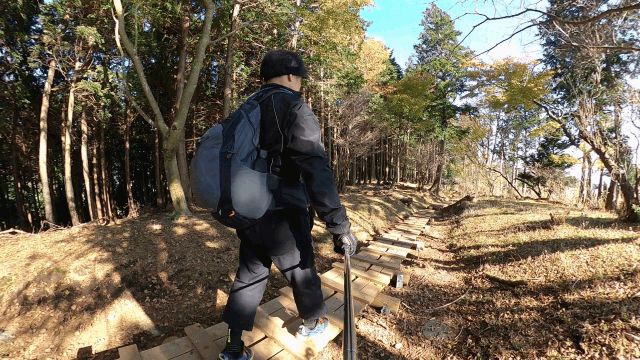 CIMG3976木の稜線GIF画像