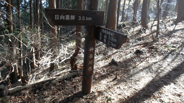 CIMG3977マイナールートGIF画像