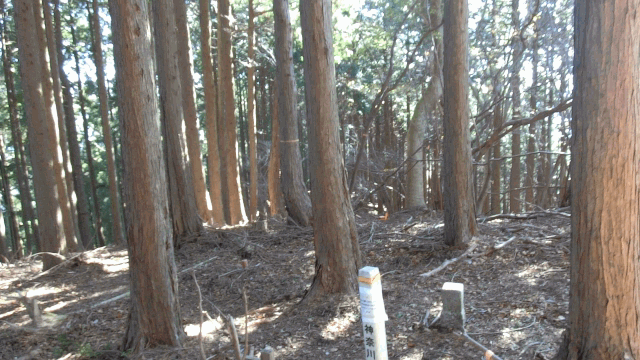 CIMG3979一応エボシ山GIF画像