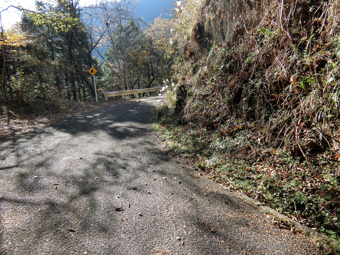 CIMG3980舗装された道