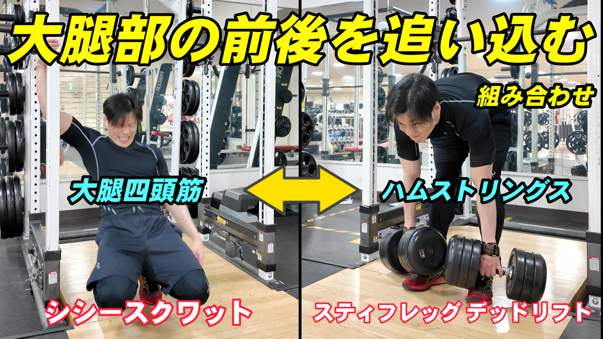 Snapshot_3