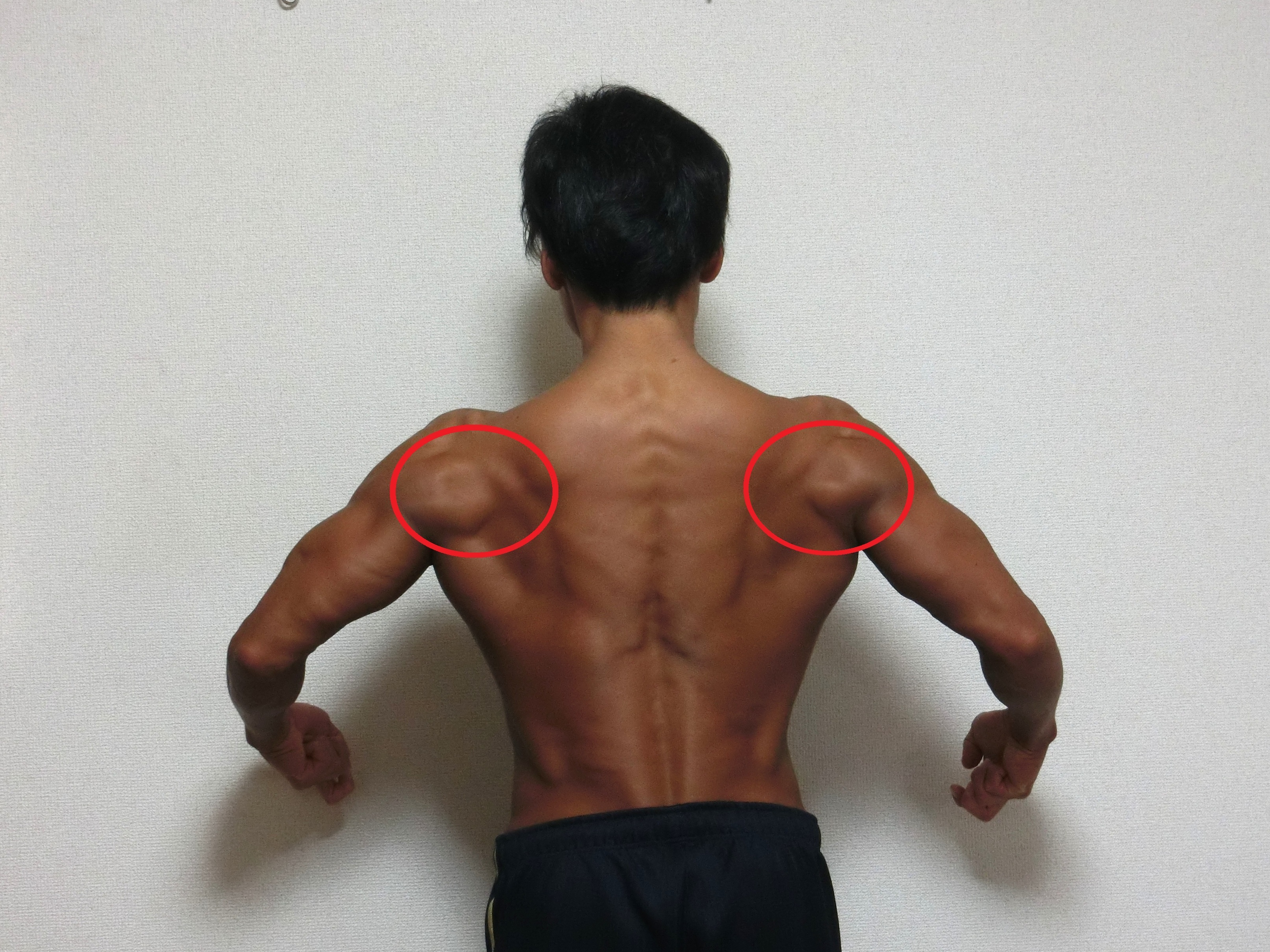 CIMG1669 - コピー - コピー