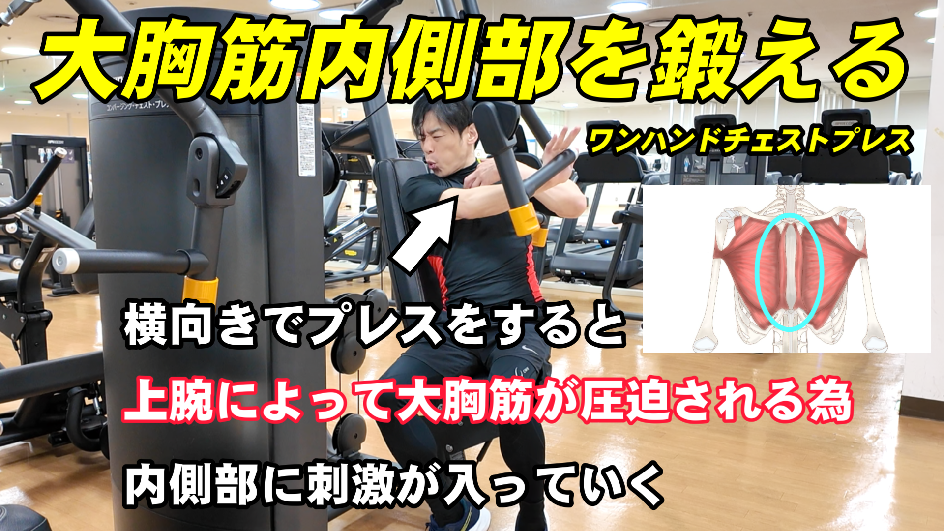 Snapshot_1
